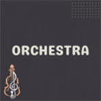 Orchestra