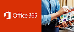 office 365